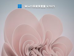 Win11系统预览版 V2021