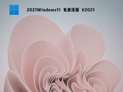 2021Windows11 免激活版 V2021