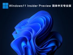 Windows11 Insider Preview 10.0.22000.51 简体中文专业版 V2021