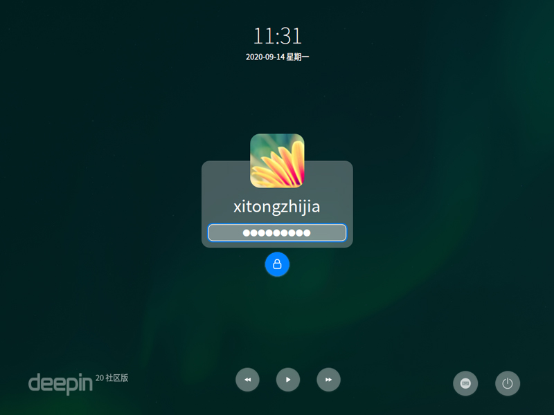 Deepin Linux 20 正式版 （64位）