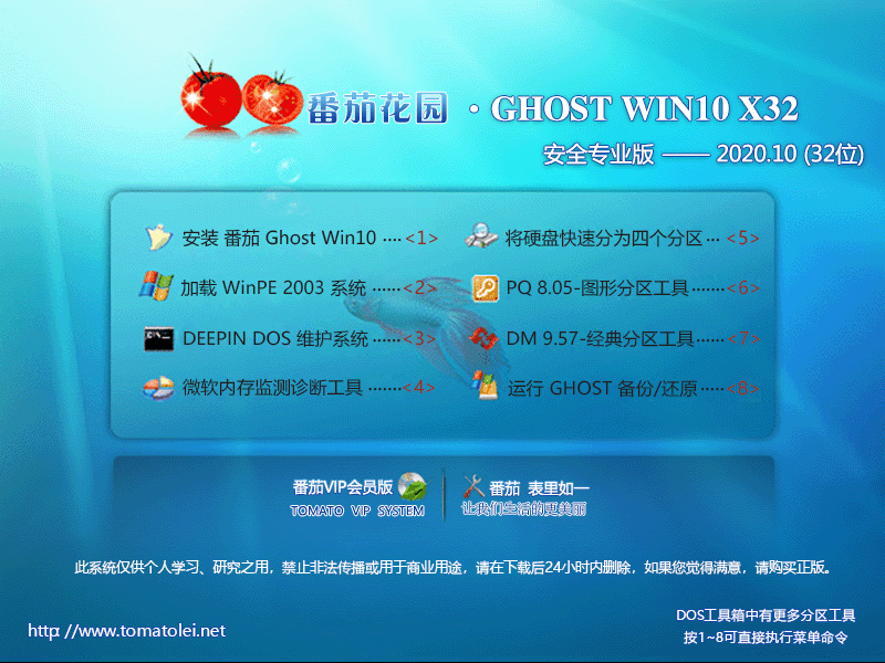 番茄花园 GHOST WIN10 32位安全专业版 V2020.10