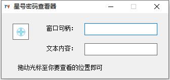 T4星号密码查看器