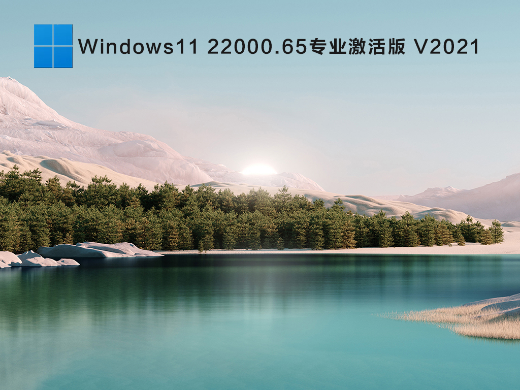 Windows11 22000.65专业激活版 V2021