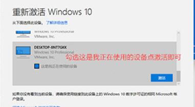 Win11判断系统是否已激活的方法