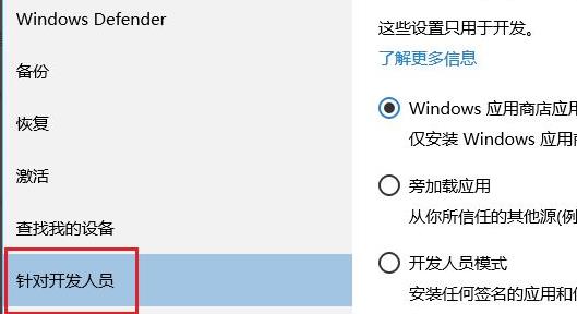 Win11开发者预览打不开