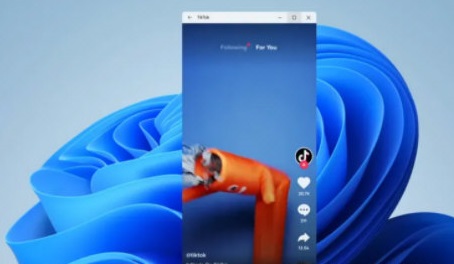 Windows11看抖音方法