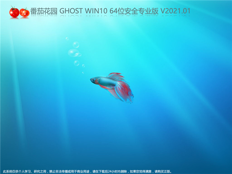 番茄花园 GHOST WIN10 64位安全专业版 V2021.01