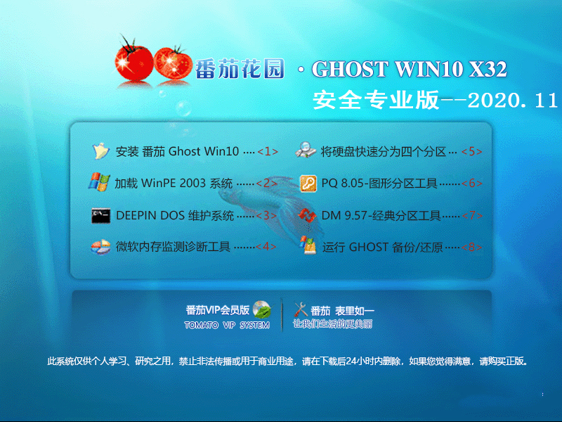 番茄花园 GHOST WIN10 32位安全专业版 V2020.11