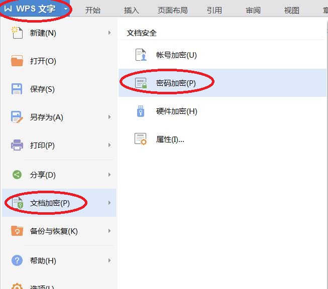 wps文档怎么设置密码保护
