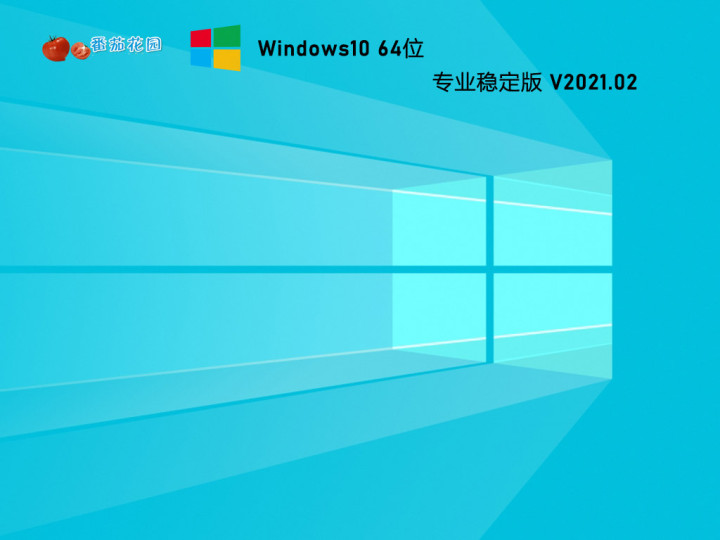 番茄花园 GHOST WIN10 64位专业稳定版 V2021.02