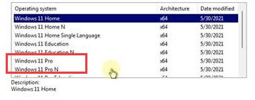 Win11 pro是什么版本
