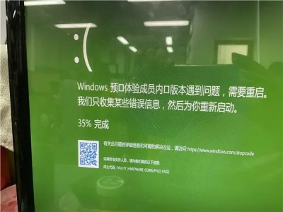 Win11系统一开机就绿屏