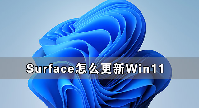 Surface怎么更新Win11