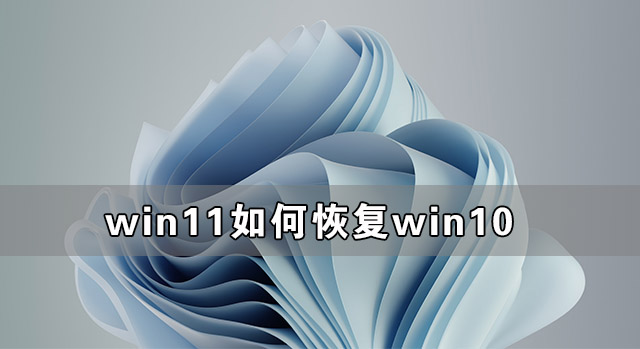 Win11如何恢复到Win10