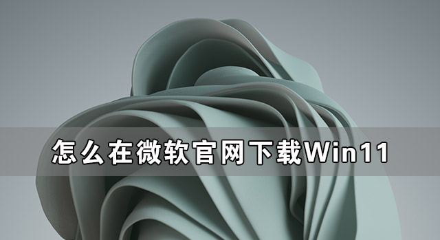 怎么在微软官网下载Win11