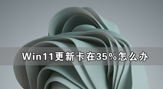 Win11更新卡在35%怎么办