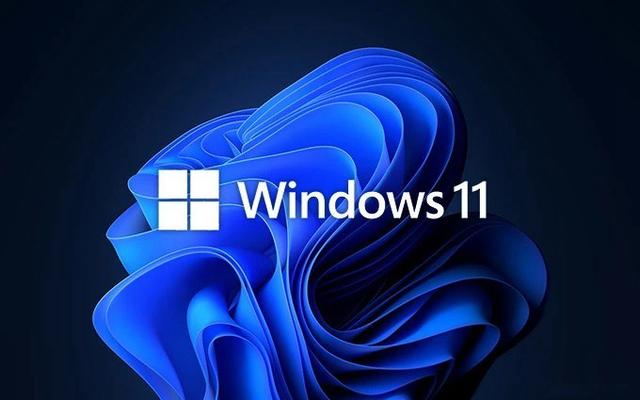 Win11装什么版本好