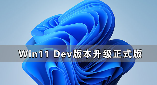 Win11 Dev版本升级正式版