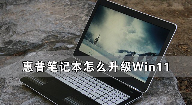 惠普笔记本怎么升级Win11