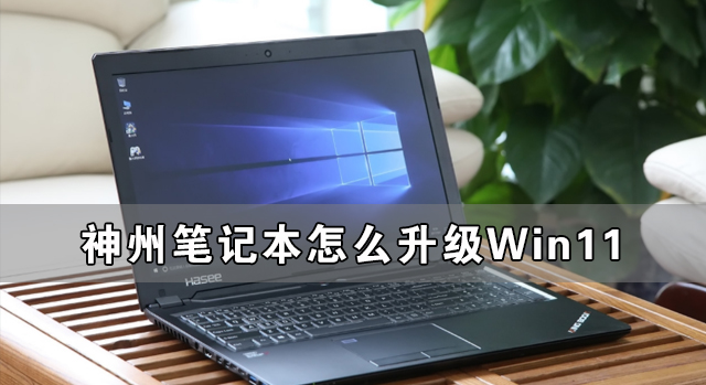 神州笔记本怎么升级Win11