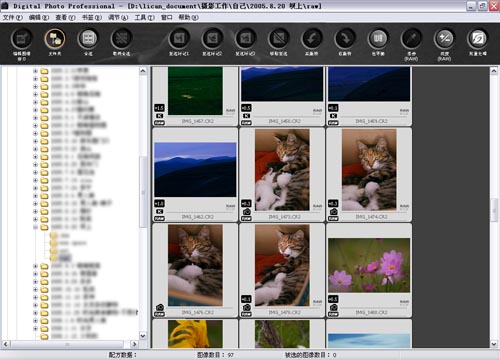 Digital Photo Professional(专业照片处理软件) V3.9.0.1 中文版