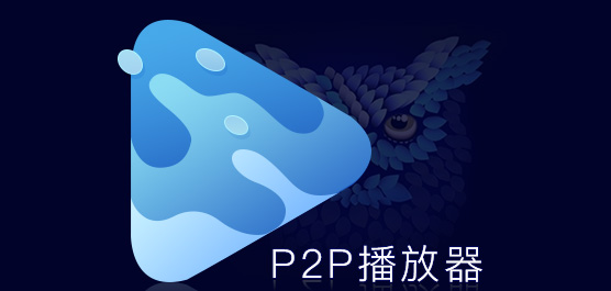 p2p播放器免费下载大全