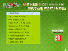 萝卜家园 GHOST WIN10 X86 装机专业版 V2017.11 (32位)