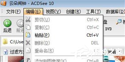 ACDSee中如何使用粘贴功能？ACDSee中使用粘贴功能的操作步骤