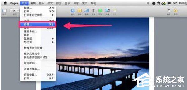 Pages怎么保存文档？