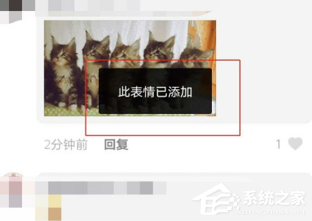 抖音猫咪摇头蹦迪表情包怎么发