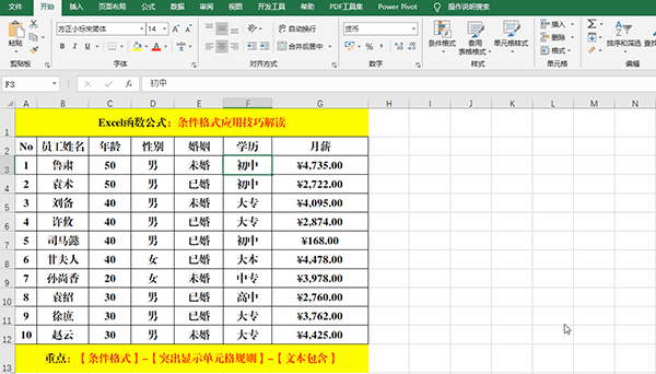 Excel 2019中使用条件格式分析数据的7