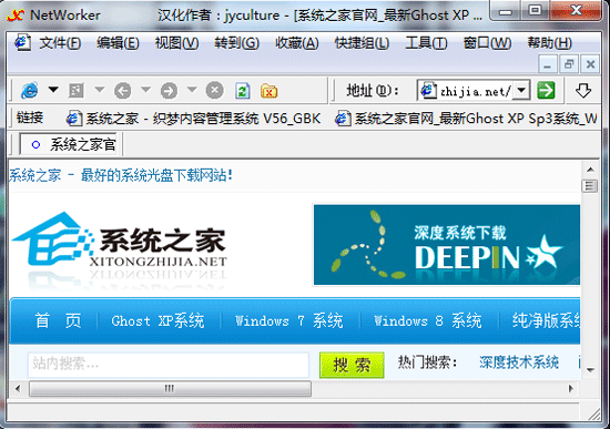 NetWorker(多窗口浏览器) V2.70 绿色汉化版