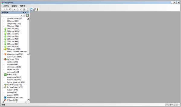 WSExplorer(进程抓包软件) V1.3 绿色版