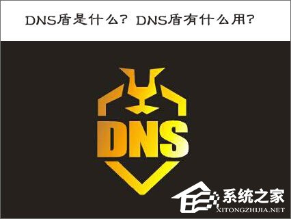 DNS盾是什么？DNS盾有什么用？