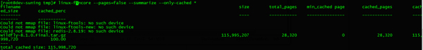 Linux系统如何对内存中的Cache进行分析
