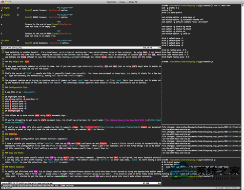 在Linux系统中如何把tmux和vim打造成IDE