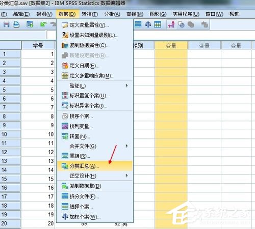 Spss怎么用？Spss分类汇总教程