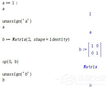 Maple如何管理变量？Maple管理变量教程