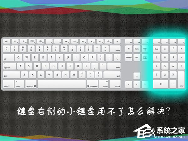 为什么数字键盘用不了？键盘右侧小键盘不能用怎么解决？