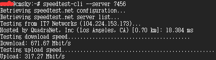Speedtest测速怎么看？Linux Speedtest测试方法
