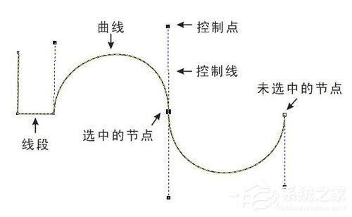 PS钢笔工具怎么用？PS钢笔工具使用技巧