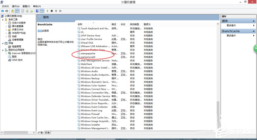 Win7系统wampserver在线但localhost打不开怎么办？