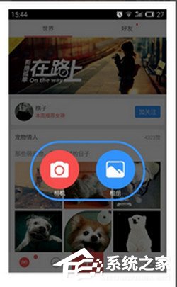 美圈app怎么发布作品？美圈app发布作品的方法