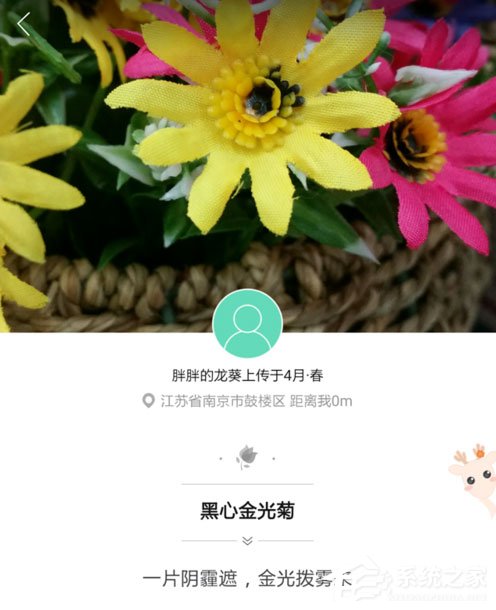 形色app怎么用？形色app使用方法