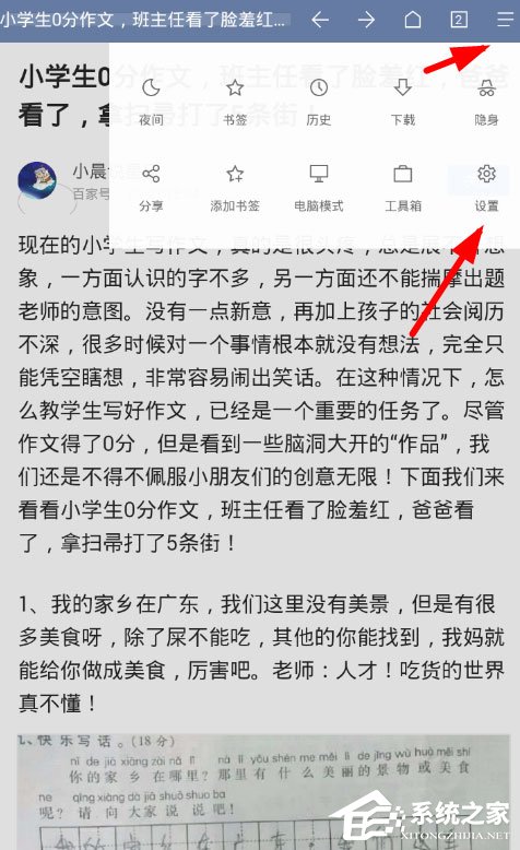 Via浏览器插件怎么用？