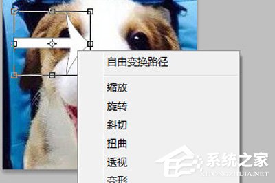 PhotoShop怎么旋转图片？PhotoShop旋转图片的方法