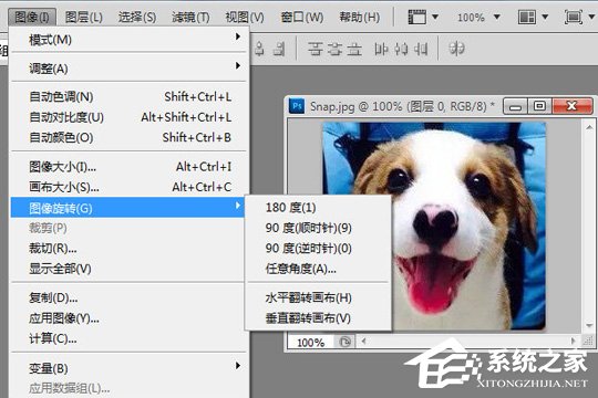 PhotoShop怎么旋转图片？PhotoShop旋转图片的方法