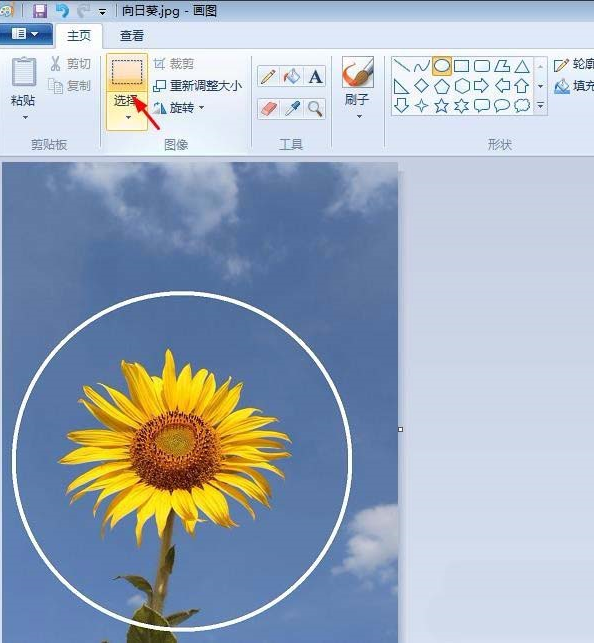 如何用画图工具制作圆形的头像    用画图工具制作圆形的头像的教程