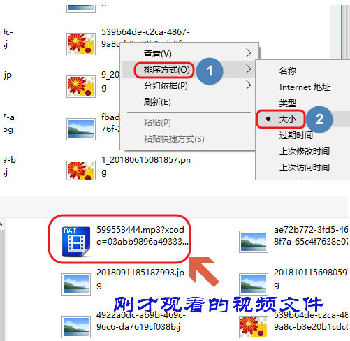 如何下载不支持下载的网络视频 下载不支持下载的网络视频的教程 