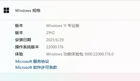 Win11更新22449.1000失败